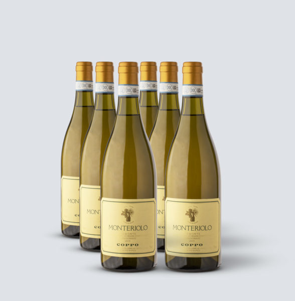 Chardonnay Monteriolo DOC 2013 - Coppo (6 bottiglie)