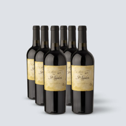 Santo Ippolito Toscana IGT 2013 – Da Vinci (6 bottiglie)