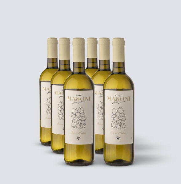 Vino Bianco Italia - Renato Masoni (6 bottiglie)