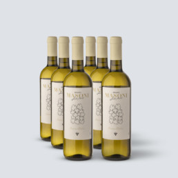 Vino Bianco Italia – Renato Masoni (6 bottiglie)
