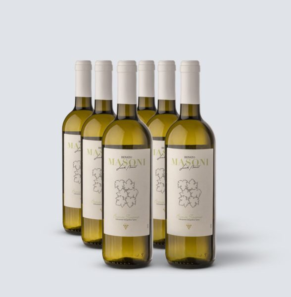 Bianco Toscana IGT - Renato Masoni (6 bottiglie)