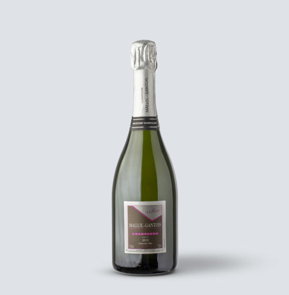 Champagne Brut Blanc de Blancs Grand Cru millésime 2012 - Mallol Gantois
