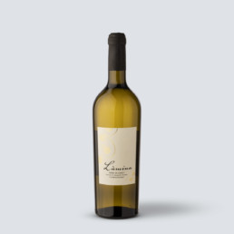 Chardonnay Terre di Chieti IGP 2019 – Colle Moro – Lamina