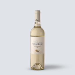 Sauvignon Blanc 2020 Albaclara – Haras de Pirque (Cile)