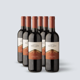 Rosso Toscana IGT 2021 Lorenzo Melani (6 bottiglie) – Cantina di Montalcino