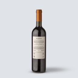 Chianti Riserva DOCG 2016 – Renato Masoni (6 bottiglie)