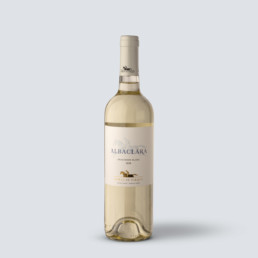 Sauvignon Blanc 2023 Albaclara – Haras de Pirque (Cile)