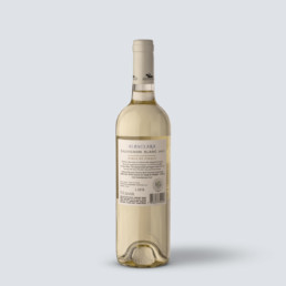 Sauvignon Blanc 2023 Albaclara – Haras de Pirque (Cile)