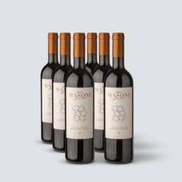 Chianti Riserva DOCG 2016 – Renato Masoni (6 bottiglie)